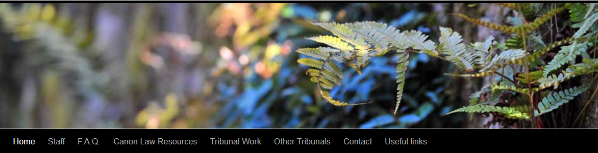 Marriage Tribunal website image